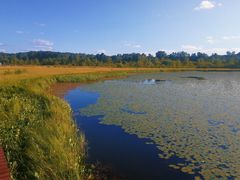 -塞罕坝国家级自然保护区