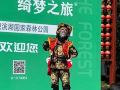 -合肥滨湖国家森林公园