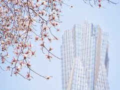 -西湖文化广场