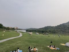 -风云岭森林公园