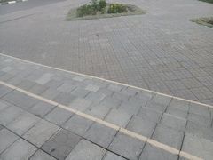-维乐口腔医院(星海湾分院)