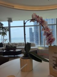 -深圳芙必优医疗美容·抗衰中心