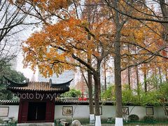 -郑和公园