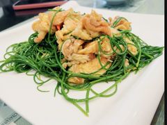 -清真·伊然轩青海特色美食