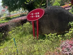 -南华禅寺