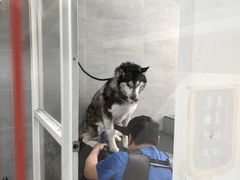 -宠福鑫康馨动物医院·骨科·眼科