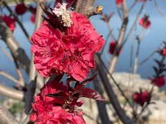 -天津东丽湖风景区