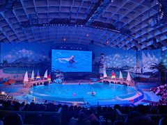 -海合安武汉极地海洋公园