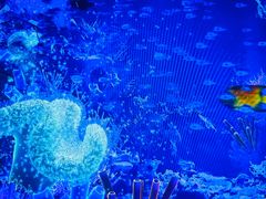 -沈阳海洋探索中心