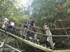 -宁波五龙潭景区