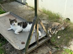 -苏州工学院(东湖校区)