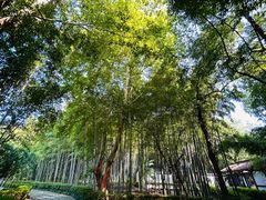 -兰亭风景区