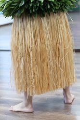 -呼拉汇舞蹈生活馆 Hawaii Hula&Tahiti Dance Studio