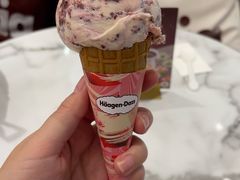 -哈根达斯(芳圆里店)