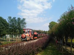 -武汉紫薇都市田园