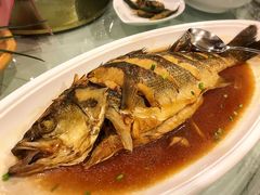 -青岛香根温泉酒店