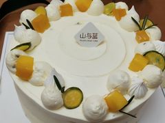 -山与蓝·轻糖鲜果蛋糕(勒泰店)