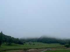-关山草原