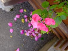 -广富林郊野公园