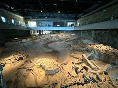 -自贡恐龙博物馆