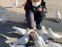 -中粮·祥云小镇