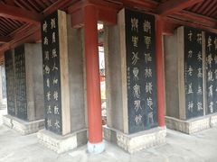 -碑林公园