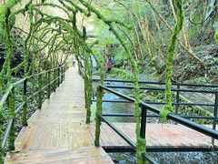 -夏霖九天银瀑风景区