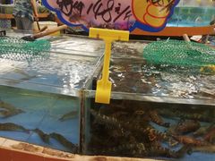 -御满江海鲜酒家(洛溪新城店)
