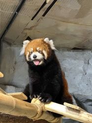 -Zoolung Zoolung动物主题公园(海信广场店)