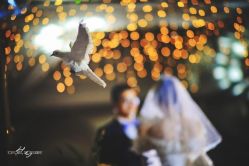 -HY小曼wedding·TOPYOUNG团队