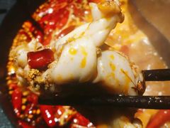 -销魂美蛙鱼头火锅(上海首店)