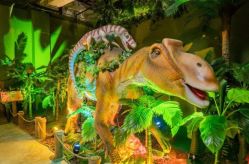 -恐龙探索乐园(磁器口店)