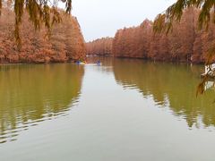 -上海海湾国家森林公园