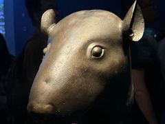 -广西壮族自治区博物馆