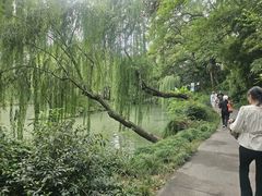 -扬州大运河文化旅游度假区·盆景园