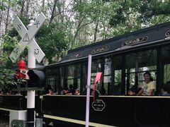 -合肥滨湖国家森林公园