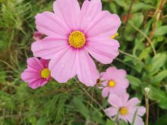 -济南国际园博园