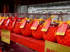 -中国观音故里广德景区