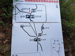 -大岭沟猕猴桃谷风景区