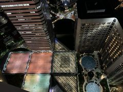 -新加坡瑞士史丹福酒店