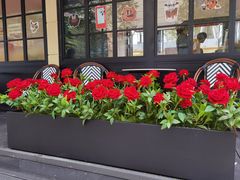 -深圳湾万象城(南山店)