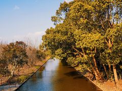 -上海长兴岛郊野公园