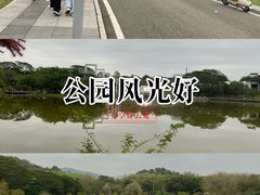 -东莞植物园