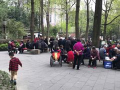 -温江公园