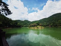 -广州白江湖森林公园