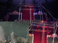 -无锡动物园·太湖欢乐园