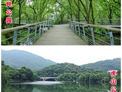 -龙坞茶村
