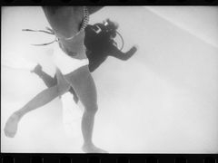 -上海潜殿潜水中心