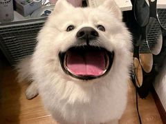 -纳吉亚猫专科动物医院博雅分院