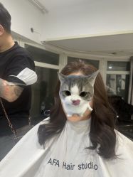 -AFA Hair studio·女士发型设计